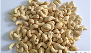 CASHEW KERNEL WW320